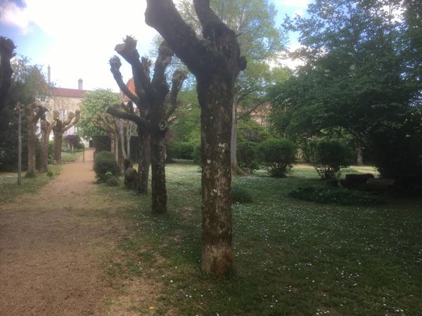 La Roche-Vineuse (71960) Superbe demeure de caractère au coeur de l'ouest Mâconnais