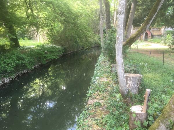 La Roche-Vineuse (71960) Superbe demeure de caractère au coeur de l'ouest Mâconnais
