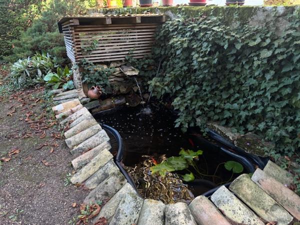 La Roche-Vineuse (71960) Superbe demeure de caractère au coeur de l'ouest Mâconnais
