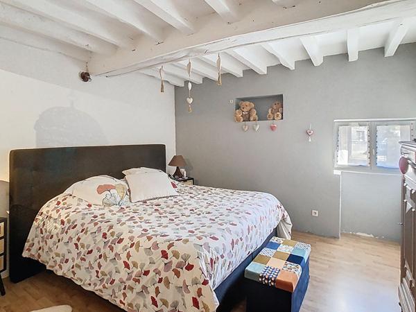 A VENDRE à LOIRE AUTHION Maison 4 chambres 187 m², double garage, près de 4000 m² de jardin !