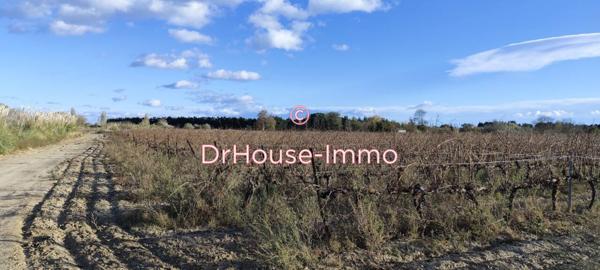 Terrain à vendre de 12 000 m²