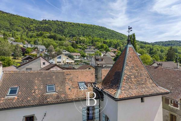 Saint-Cergues, Château 3 Chambres -  473 m² à vendre