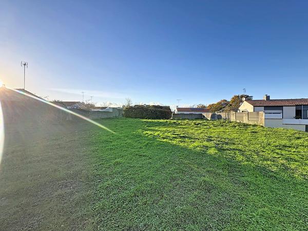 Vente terrain Challans : 81 750 € - AJP Immobilier Challans