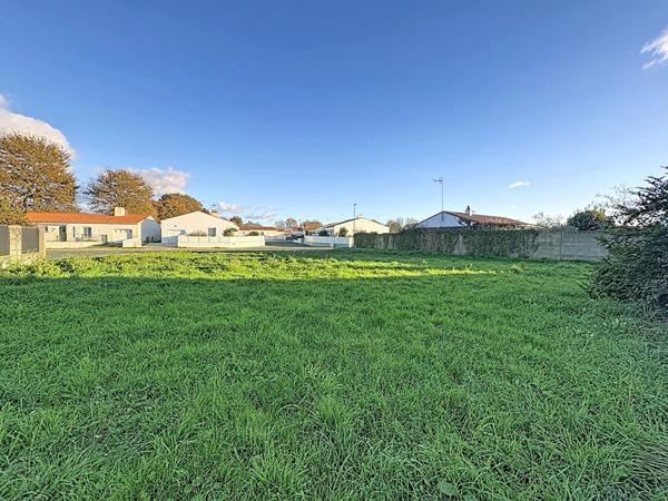 Vente terrain Challans : 81 750 € - AJP Immobilier Challans