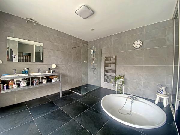 Maison Saint Jean Le Blanc 7 pièce(s) 300 m2