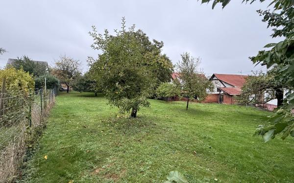 Terrain à vendre    Mutzenhouse