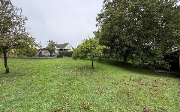 Terrain à vendre    Mutzenhouse