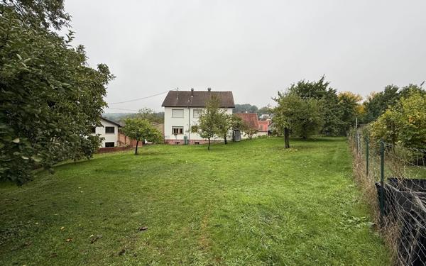 Terrain à vendre    Mutzenhouse