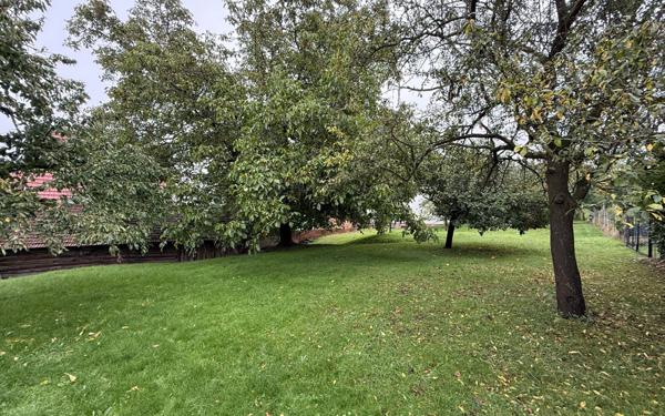 Terrain à vendre    Mutzenhouse