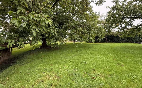 Terrain à vendre    Mutzenhouse