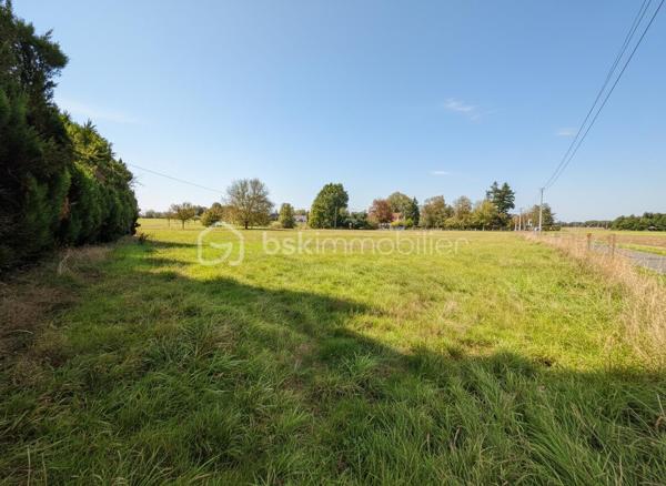 Située à Bois-Normand-près-Lyre, au cœur d’un environnement verdoyant et préservé, cette maison de 125 m² offre un cadre de vie idéal pour les amoureux de nature et de tranquillité.

Implantée sur un magnifique terrain arboré de 7 700 m², elle séduira par ses volumes, son potentiel et ses nombreuses possibilités d’aménagement.

🏡 Une maison aux beaux volumes
Au rez-de-chaussée :
Entrée accueillante
Cuisine indépendante (possibilité d’ouverture sur séjour)
Salon / salle à manger lumineux avec cheminée
2 chambres
Salle d’eau
WC séparé

À l’étage :
1 grande chambre spacieuse
1 pièce à aménager selon vos envies (chambre, bureau, dressing…)
WC

Sous-sol total :
Garage
Atelier
Cave
Chaufferie

🌿 Un extérieur rare et recherché
Profitez d’un grand terrain au calme, idéal pour :
créer un espace détente ou piscine
accueillir des animaux
développer un potager ou un projet paysager

Un véritable havre de paix à la campagne, tout en restant proche des commodités.

💡 Les + qui font la différence
✔ Environnement calme et sans vis-à-vis
✔ Fort potentiel de valorisation
✔ Maison lumineuse et fonctionnelle
✔ Idéal résidence principale ou projet familial
✔ Sous-sol complet très pratique

🔧 À prévoir
Des travaux de rafraîchissement permettront de révéler tout le potentiel de ce bien et de le personnaliser à votre goût.

💰 Prix : 175 000 €

❤️ Pourquoi elle va séduire ?
Parce qu’elle offre l’équilibre parfait entre espace, nature et potentiel, à un prix accessible pour une maison avec terrain de cette superficie en Normandie.