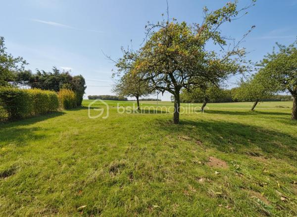 Située à Bois-Normand-près-Lyre, au cœur d’un environnement verdoyant et préservé, cette maison de 125 m² offre un cadre de vie idéal pour les amoureux de nature et de tranquillité.

Implantée sur un magnifique terrain arboré de 7 700 m², elle séduira par ses volumes, son potentiel et ses nombreuses possibilités d’aménagement.

🏡 Une maison aux beaux volumes
Au rez-de-chaussée :
Entrée accueillante
Cuisine indépendante (possibilité d’ouverture sur séjour)
Salon / salle à manger lumineux avec cheminée
2 chambres
Salle d’eau
WC séparé

À l’étage :
1 grande chambre spacieuse
1 pièce à aménager selon vos envies (chambre, bureau, dressing…)
WC

Sous-sol total :
Garage
Atelier
Cave
Chaufferie

🌿 Un extérieur rare et recherché
Profitez d’un grand terrain au calme, idéal pour :
créer un espace détente ou piscine
accueillir des animaux
développer un potager ou un projet paysager

Un véritable havre de paix à la campagne, tout en restant proche des commodités.

💡 Les + qui font la différence
✔ Environnement calme et sans vis-à-vis
✔ Fort potentiel de valorisation
✔ Maison lumineuse et fonctionnelle
✔ Idéal résidence principale ou projet familial
✔ Sous-sol complet très pratique

🔧 À prévoir
Des travaux de rafraîchissement permettront de révéler tout le potentiel de ce bien et de le personnaliser à votre goût.

💰 Prix : 175 000 €

❤️ Pourquoi elle va séduire ?
Parce qu’elle offre l’équilibre parfait entre espace, nature et potentiel, à un prix accessible pour une maison avec terrain de cette superficie en Normandie.