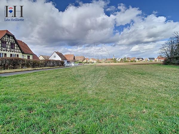 Terrain  en vente - Haut-Rhin - 68