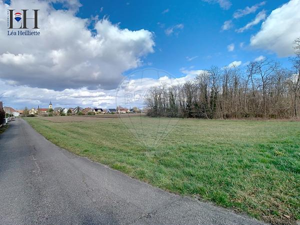 Terrain  en vente - Haut-Rhin - 68