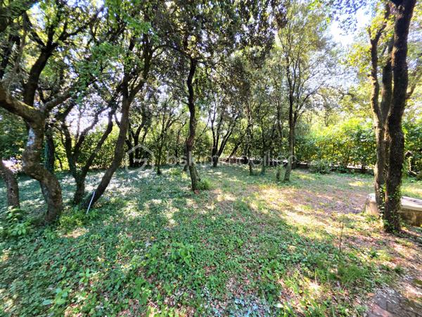 Mickaël Gaudissard vous propose cette villa Plain pied de 120 m² habitable construite en 1988 sur une parcelle close de 1 200 m².

Située en impasse dans un secteur calme sur les hauteurs de Donzère,  cette batisse à rafraichir se compose d'une entrée qui dessert la cuisine de 12 m² à équiper avec accés au garage, un sejour de 40 m² orienté plein sud avec poele à Bûche.

Une salle de bain de 6.5 m² avec baignoire et double vasque, un WC Indépendant. 

Coté nuit, 3 chambres de 10 m², 14 m² et 17 m² avec mezzanine de 9.5 m² pour la plus grande et dressing.

En sous sol un garage de 28 m².

La Parcelle arborée vous permet de profiter d'un espace ombragé sur la terrase de 25 m² plein sud.


Pompe à chaleur Air / Eau pour le chauffage au sol.
Cheminée 3 positions.
Ballon d'eau chaude electrique.
Double vitrage bois.
Fibre optique.
Assainissement individuel (fosse septique non conforme mais possibilité de raccordement au tout à l'égout, regard déja pret à etre raccordé).
Comble aménageable. 
Portail électrique.
DPE classe C
Foncier : 1 440 € / An

Info contact : Mickaël Gaudissard  / 06 40 52 43 96