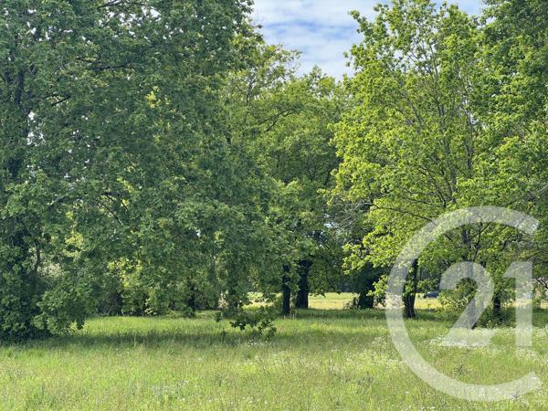 Terrain à vendre  3447 m 2   MONTPON MENESTEROL  - 24