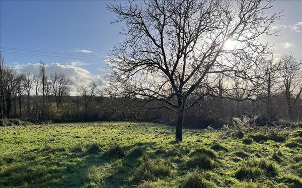 Terrain à vendre |  Cours-de-Pile |  6846 m²