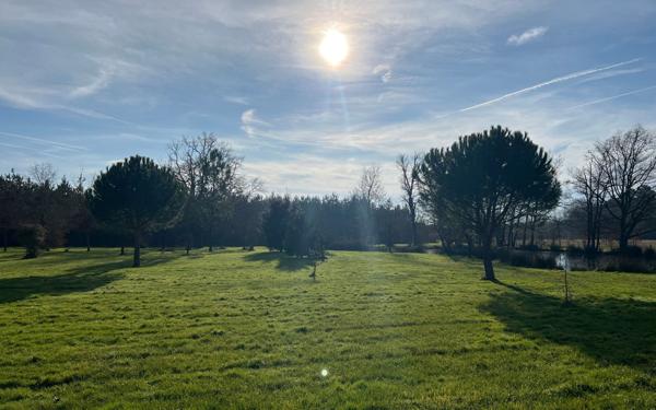 Maison à vendre    5 pièces • 206 m2 Chémery