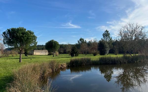 Maison à vendre    5 pièces • 206 m2 Chémery