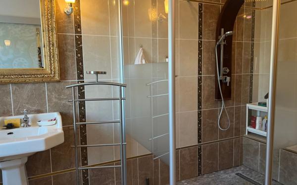 Maison à vendre    5 pièces • 206 m2 Chémery