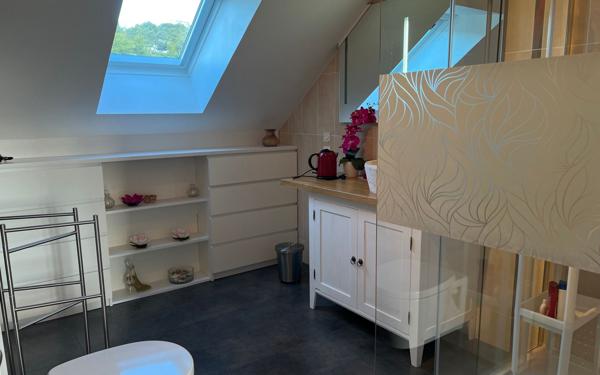 Maison à vendre    5 pièces • 206 m2 Chémery