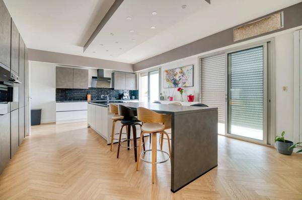 Maison individuelle rénovée 300 m² avec piscine, terrain CLOS vu sur les Pyrennées et appartement indépendant