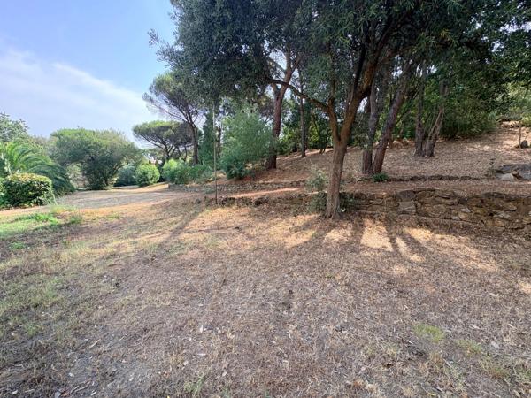 Terrain à vendre de 1 540,00 m² SAINTE MAXIME (83)