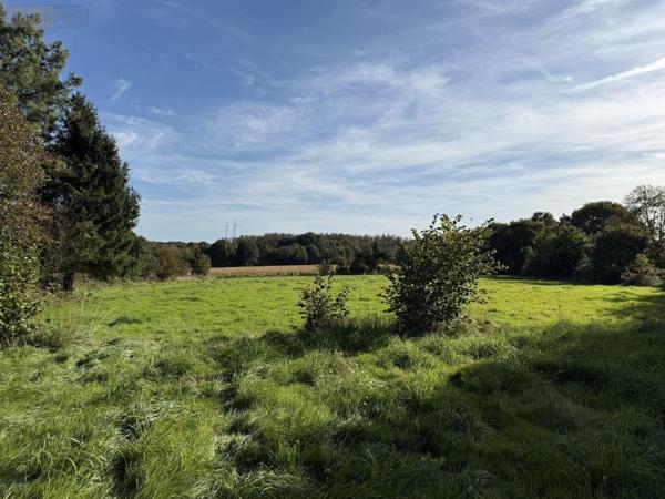 Maison à vendre à Plémet dans les Côtes-d'Armor (22210), ref : 22115-3452