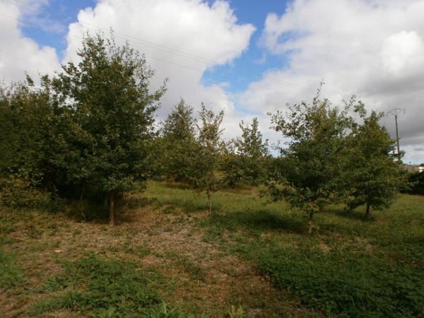 Grand terrain de 1566m² sur les hauteurs d'Astaffort.