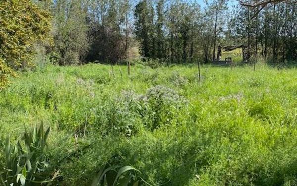 Maison à vendre    4 pièces •  Paulhan