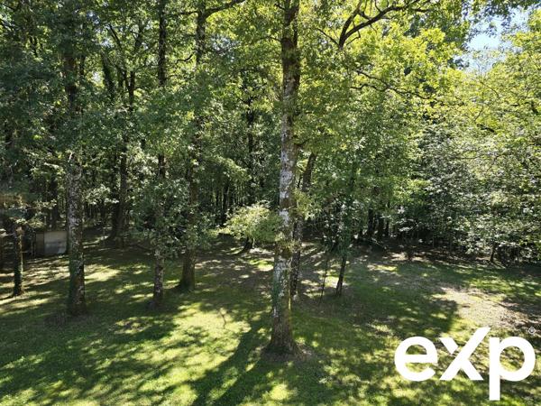 Maison d'architecte et son immense hangar