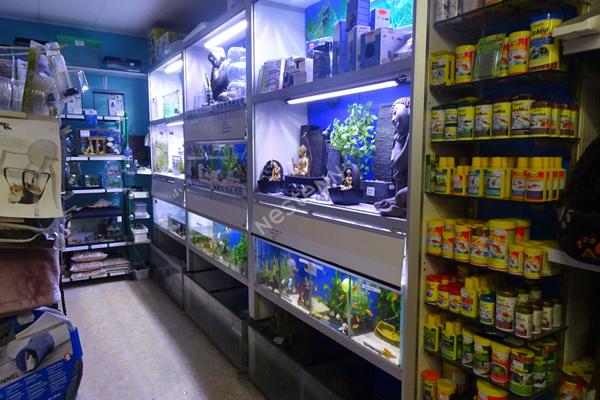 ROCHEFORT Hyper Centre : Fond de commerce- 135 m² dont réserve et cour privative