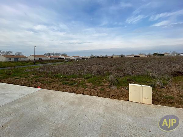 Vente terrain Lucon : 46 000 € - AJP Immobilier Luçon