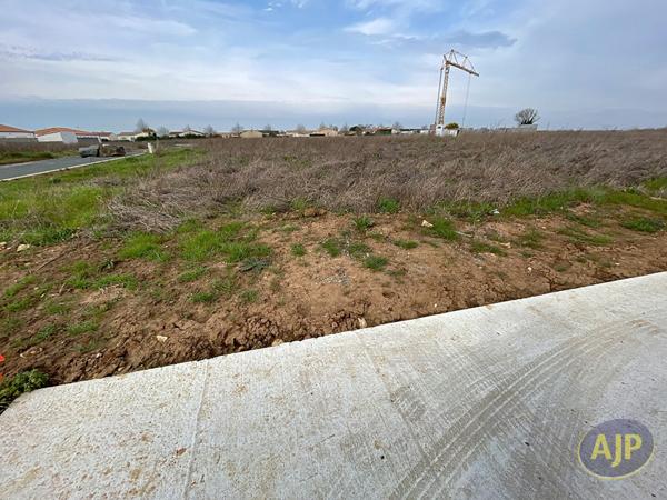 Vente terrain Lucon : 46 000 € - AJP Immobilier Luçon