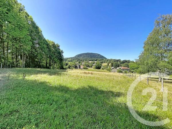 Terrain à vendre  3000 m 2   ST JULIEN DU PINET  - 43