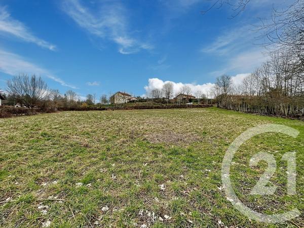 Terrain à vendre  3000 m 2   ST JULIEN DU PINET  - 43