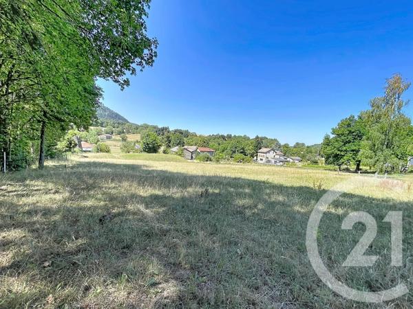 Terrain à vendre  3000 m 2   ST JULIEN DU PINET  - 43