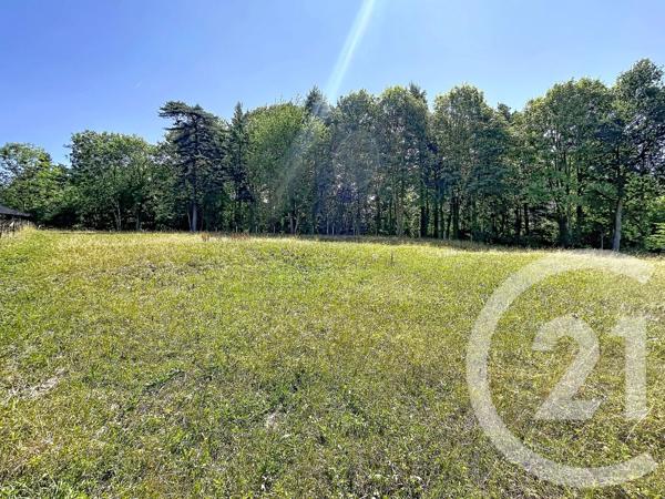 Terrain à vendre  3000 m 2   ST JULIEN DU PINET  - 43