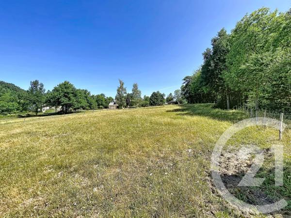 Terrain à vendre  3000 m 2   ST JULIEN DU PINET  - 43