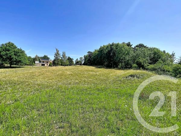 Terrain à vendre  3000 m 2   ST JULIEN DU PINET  - 43