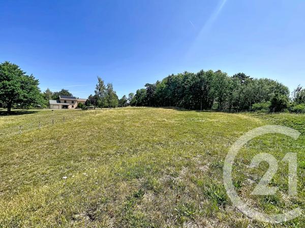 Terrain à vendre  3000 m 2   ST JULIEN DU PINET  - 43