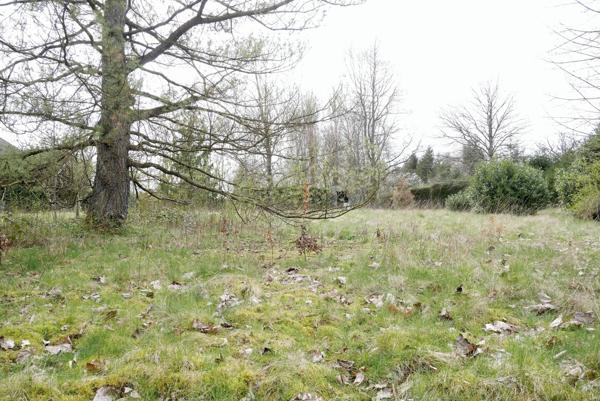 TERRAIN CONSTRUCTIBLE 14,51 ARES