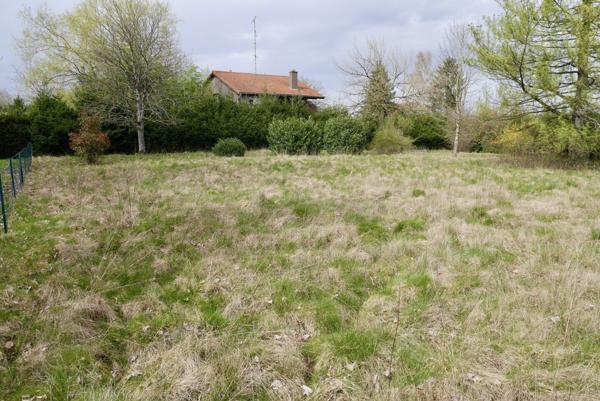 TERRAIN CONSTRUCTIBLE 14,51 ARES