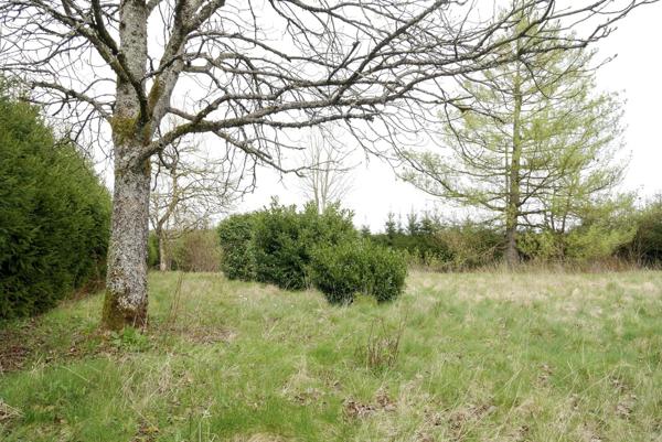 TERRAIN CONSTRUCTIBLE 14,51 ARES