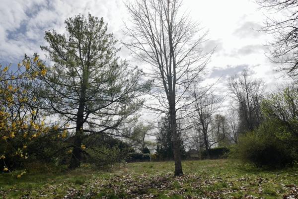 TERRAIN CONSTRUCTIBLE 14,51 ARES