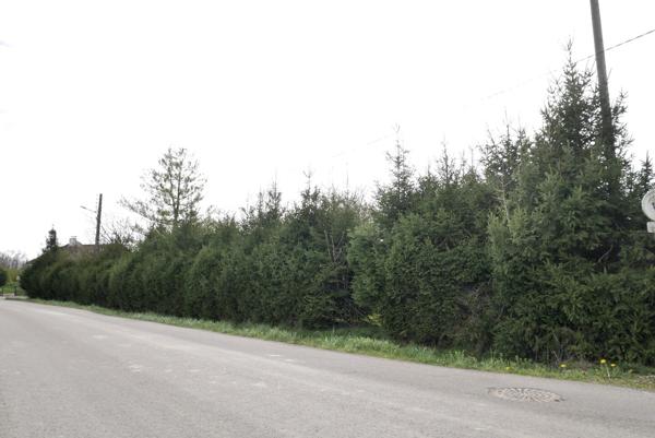 TERRAIN CONSTRUCTIBLE 14,51 ARES