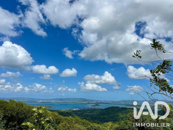 Terrain à vendre 7 948 m² Les Trois-Îlets