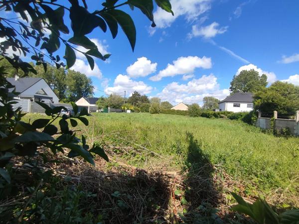 Terrain constructible Coulogne 1180 m2