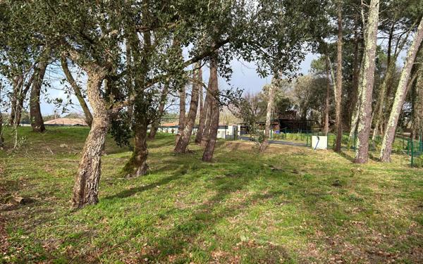 Terrain à vendre    Labenne