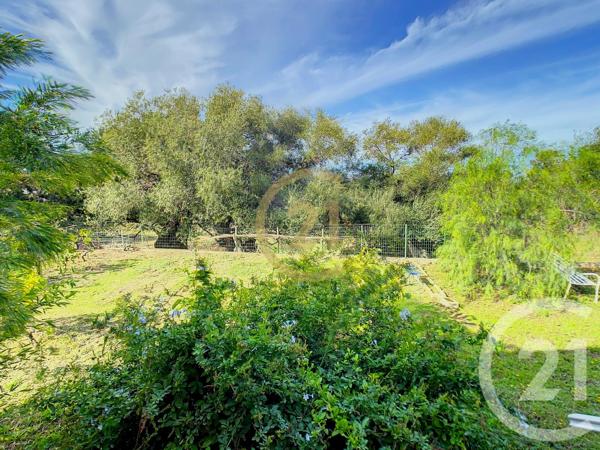 Maison à vendre  3 pièces - 85 m 2   AREGNO  - 202